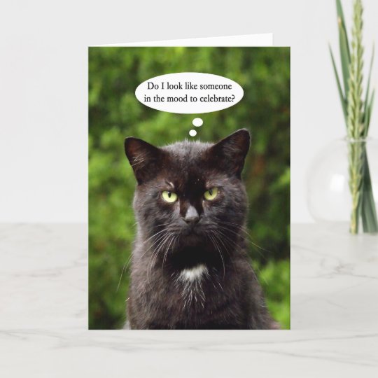 Carte D Anniversaire Deprimee Drole De Chat Noir Zazzle Ca
