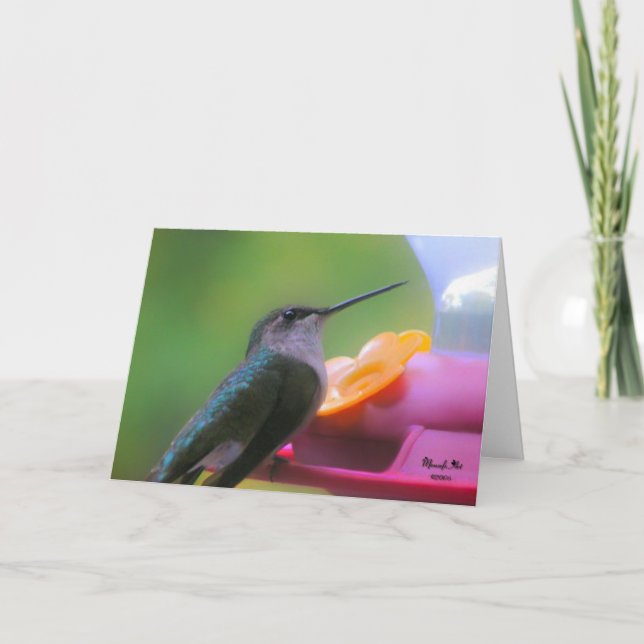 Carte d'anniversaire des colibris (Devant)