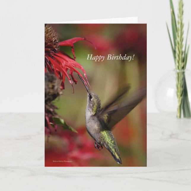 Carte d'anniversaire des colibris (Devant)
