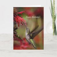 Carte d'anniversaire des colibris