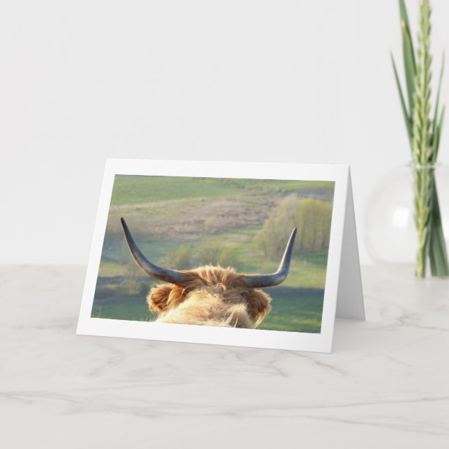 Carte d'anniversaire des montagnes de vache (Devant)