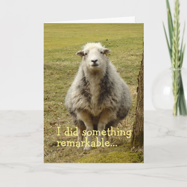 Carte d'anniversaire des moutons (Devant)