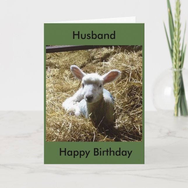 Carte d'anniversaire des moutons d'agneau Personna (Devant)