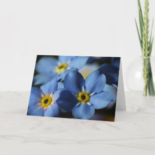Carte d'anniversaire des myosotis des marais 7