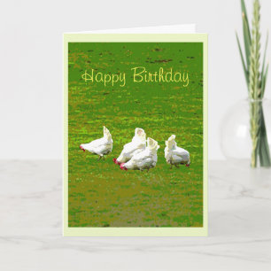 Carte d'anniversaire des poulets blancs