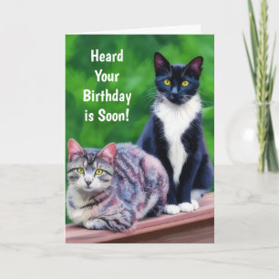 Carte d'anniversaire Deux Chats Amoureux de Chats