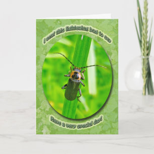 Carte d'anniversaire d'insecte d'allégement