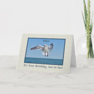 Carte d'anniversaire d'oiseau de goéland riant du 