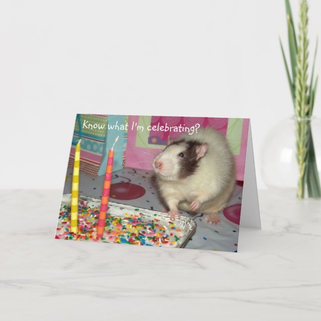 Carte d'anniversaire d'Ollie de rat d'animal (Devant)