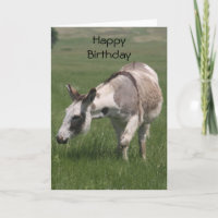 Carte d'anniversaire Donkey