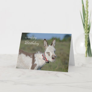 Carte d'anniversaire Donkey