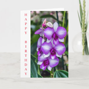 Carte d'anniversaire d'orchidées blanches et viole