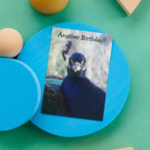 Carte d'anniversaire drôle avec photo de paon bleu