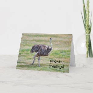 Carte d'anniversaire drôle avec un oiseau d'art d'