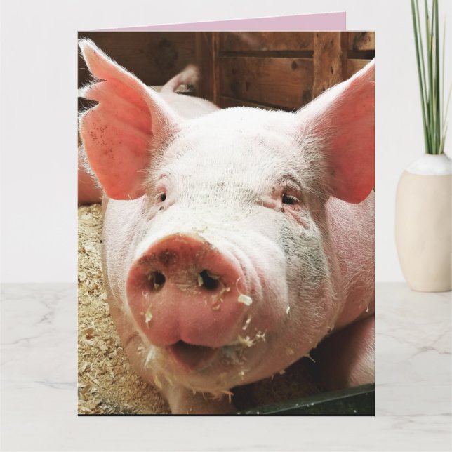 CARTE D'ANNIVERSAIRE DRÔLE COCHON PORC (Devant)