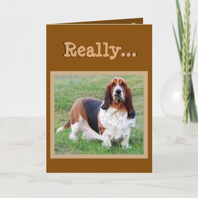 Carte d'anniversaire drôle de "années de chien" de (Devant)