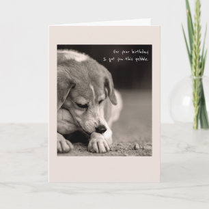 carte d'anniversaire drôle de beagle