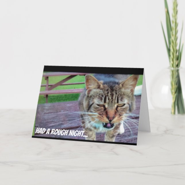 Carte d'anniversaire drôle de chat (Devant)