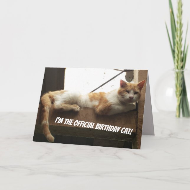 Carte d'anniversaire drôle de chat (Devant)