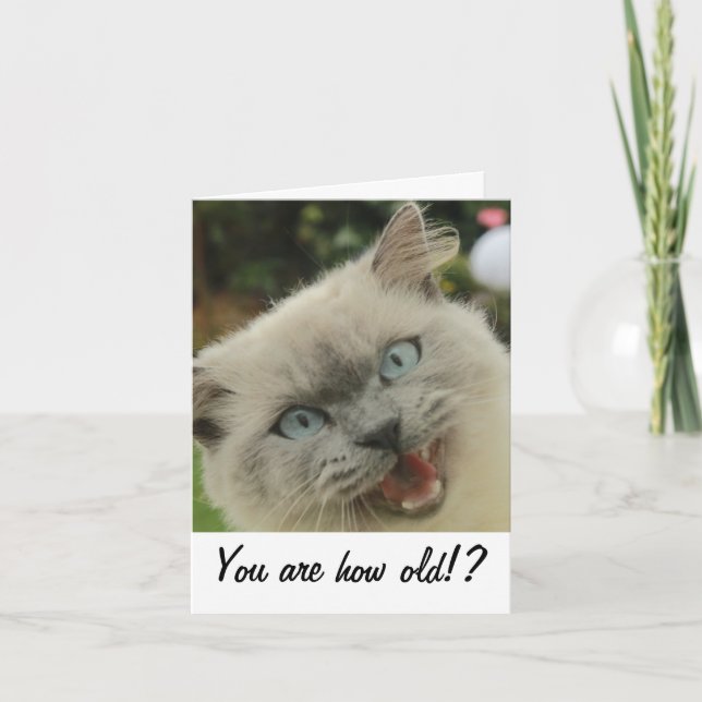 Carte d'anniversaire drôle de chat (Devant)