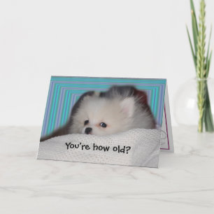 Carte d'anniversaire drôle de chiot