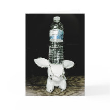 Carte d'anniversaire drôle de lapin. Soyez