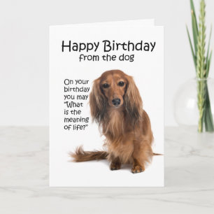 Carte d'anniversaire drôle de teckel