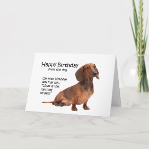 Carte d'anniversaire drôle de teckel