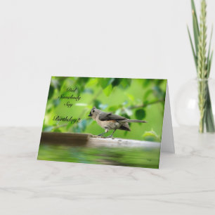 Carte d'anniversaire drôle d'oiseau