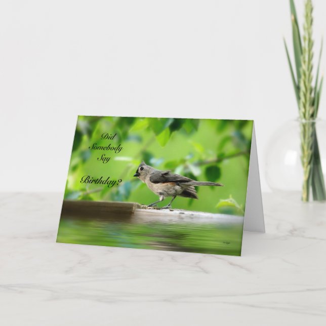Carte d'anniversaire drôle d'oiseau (Devant)