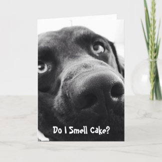 Carte d'anniversaire du beau Lab !