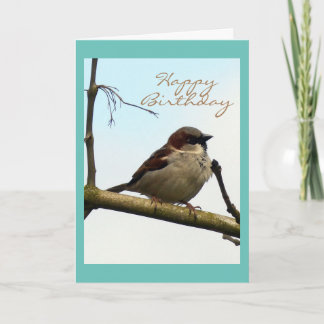 Carte d'anniversaire du Bruant