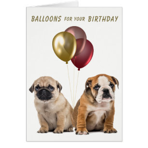 Carte d'anniversaire du Carlin mignon et des chiot