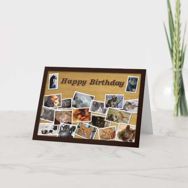Carte d'anniversaire du chat (Devant)
