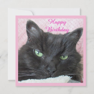 Carte d'anniversaire du chat