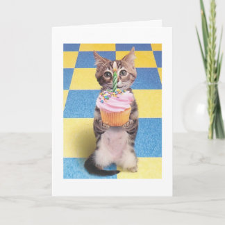carte d'anniversaire du chat cupcake