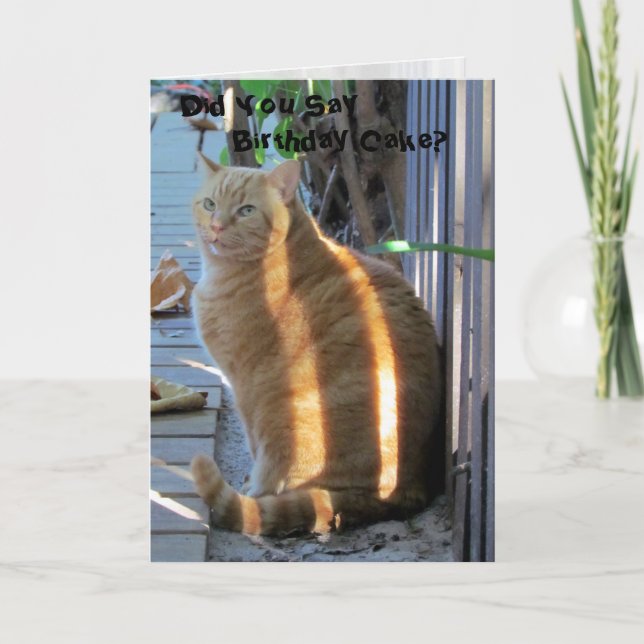 Carte d'anniversaire du chat gras (Devant)