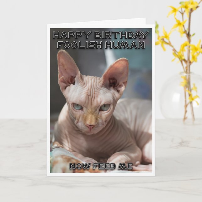 Carte d'anniversaire du chat malin (Fleur jaune)