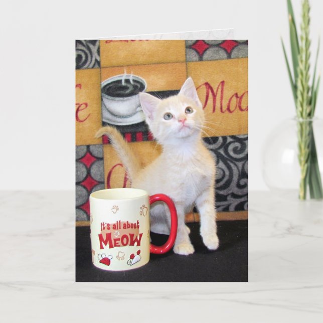 Carte d'anniversaire du chat Mocha Dream de Tuffy  (Devant)