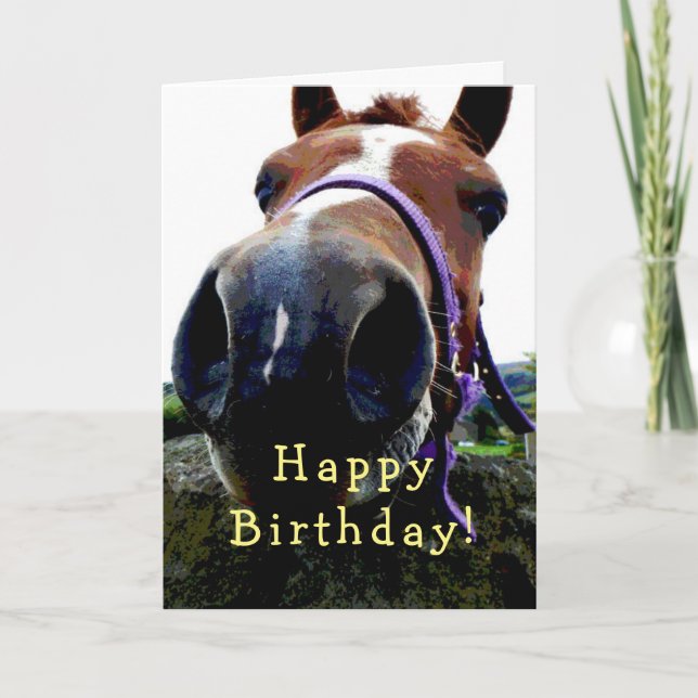 Carte d'anniversaire du cheval (Devant)