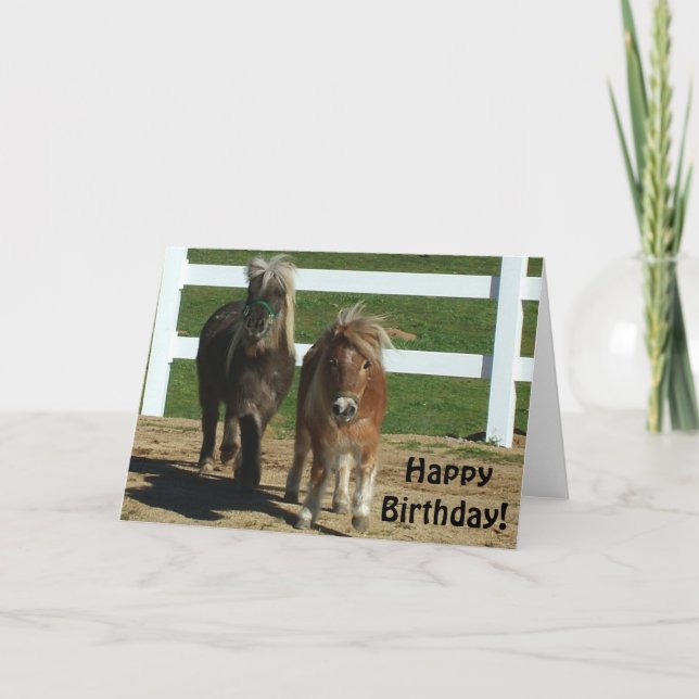 Carte d'Anniversaire du Cheval Miniature (Devant)