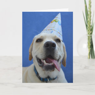Carte d'anniversaire du chien amusant