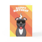 Carte d'anniversaire du Chien Bull Terrier Staffor