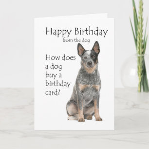 Carte d'anniversaire du chien de bétail