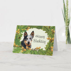 Carte d'anniversaire du chien de bétail australien