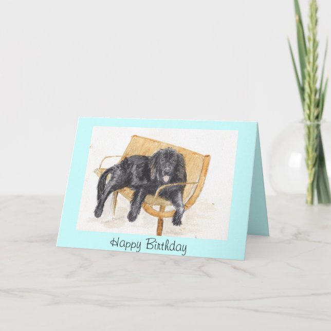 Carte d'anniversaire du chien de Terre-Neuve (Devant)