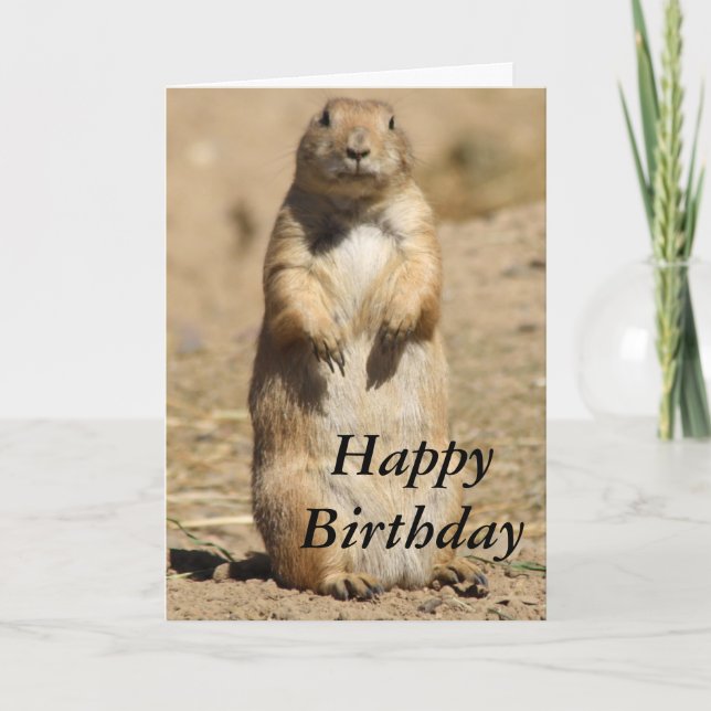 Carte d'anniversaire du chien des Prairies (Devant)