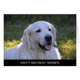 Carte d'anniversaire du chien du Labrador blanc mi
