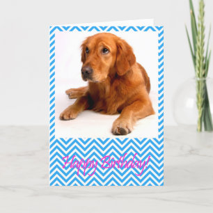 Carte d'Anniversaire du chien Golden Retriever