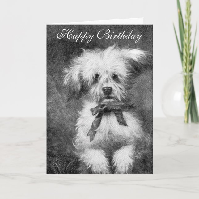 Carte d'anniversaire du chien mignon (Devant)